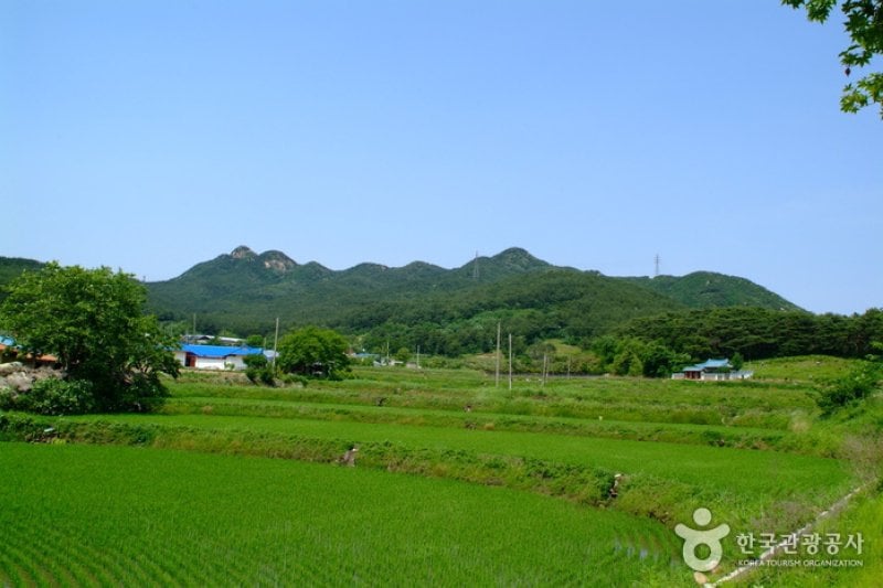 Palbongsan Mountain (Seosan) (팔봉산(서산)) (1/9)