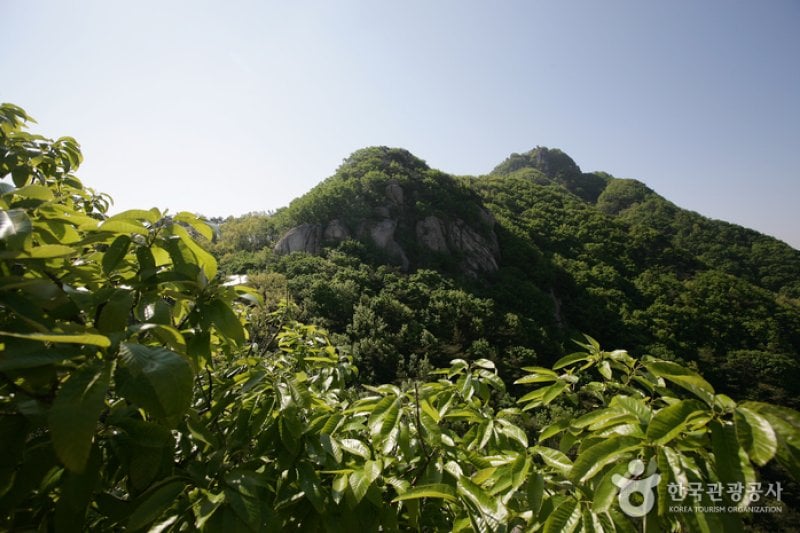 Palbongsan Mountain (Seosan) (팔봉산(서산)) (3/9)