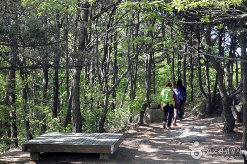 Palbongsan Mountain (Seosan) (팔봉산(서산)) (5/9)
