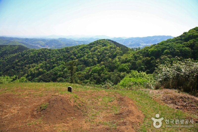 Palbongsan Mountain (Seosan) (팔봉산(서산)) (9/9)