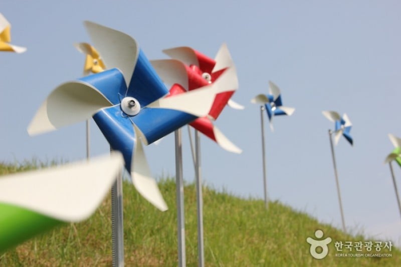 Taean Tulip Festival  (4/18)