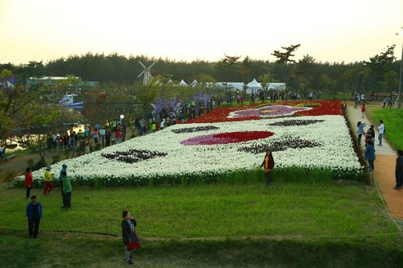 Taean Tulip Festival  (9/18)