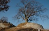 Buyeo Garimseong Fortress 