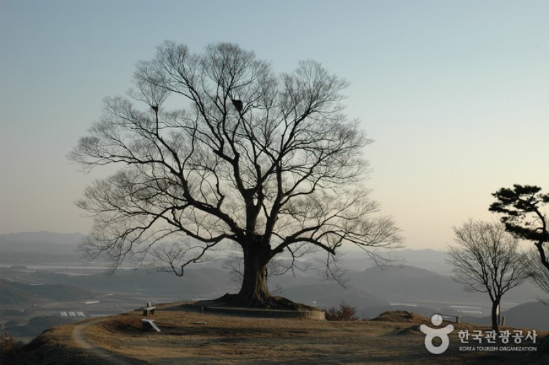 Buyeo Garimseong Fortress  (6/6)