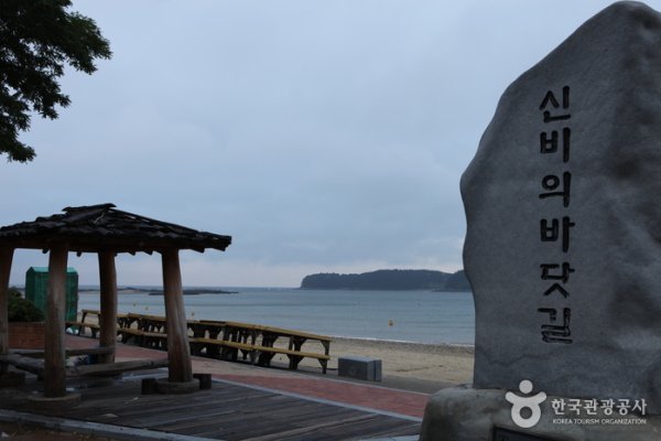 Muchangpo Mystic Sea Road Festival