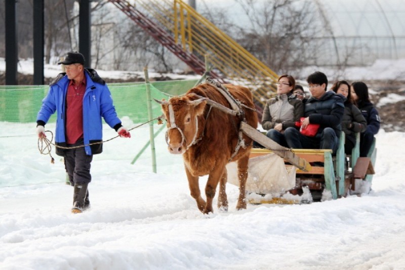 Chilgapsan Ice Fountain Festival  (12/15)
