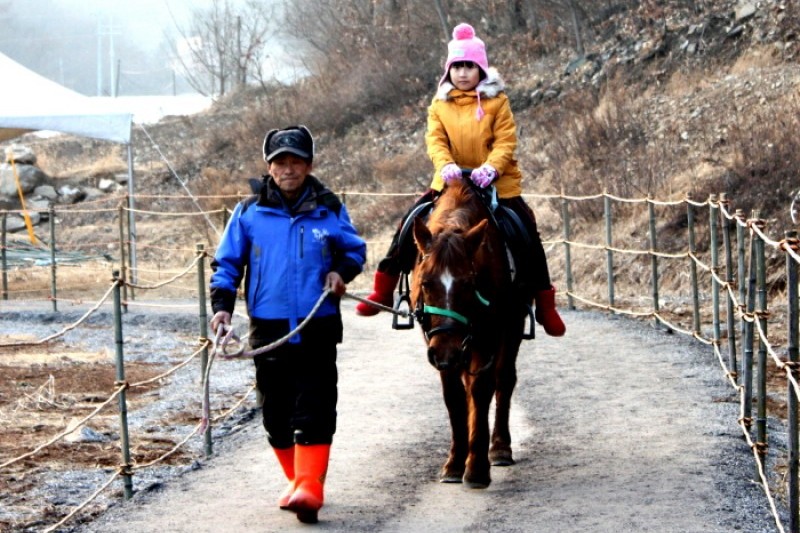 Chilgapsan Ice Fountain Festival  (13/15)