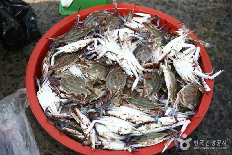 Hongwon Port  (2/3)