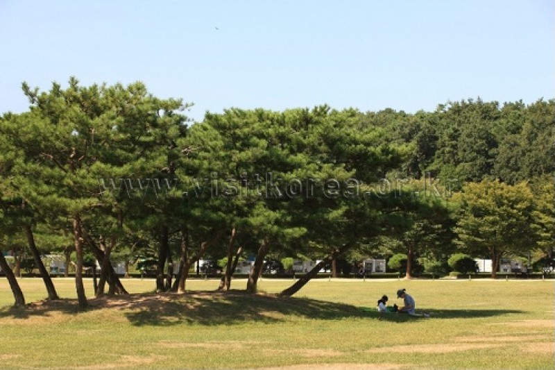 Sinjeongho Tourist Park  (7/26)