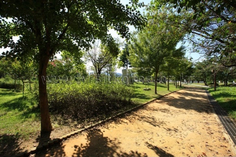 Sinjeongho Tourist Park  (17/26)