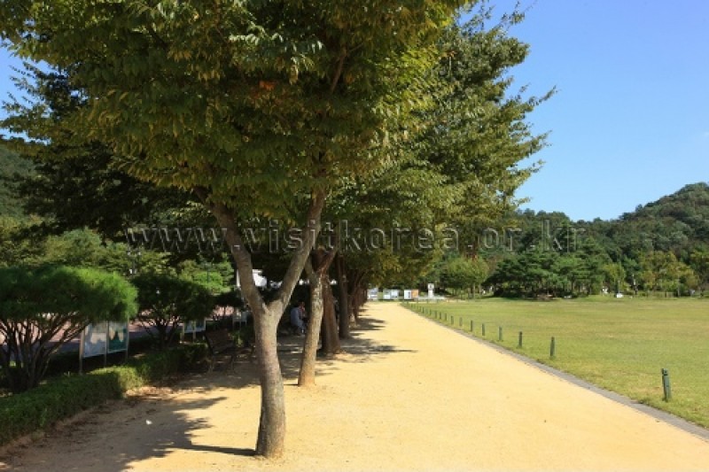 Sinjeongho Tourist Park  (25/26)