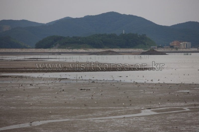 Namdanghang Port  (7/20)