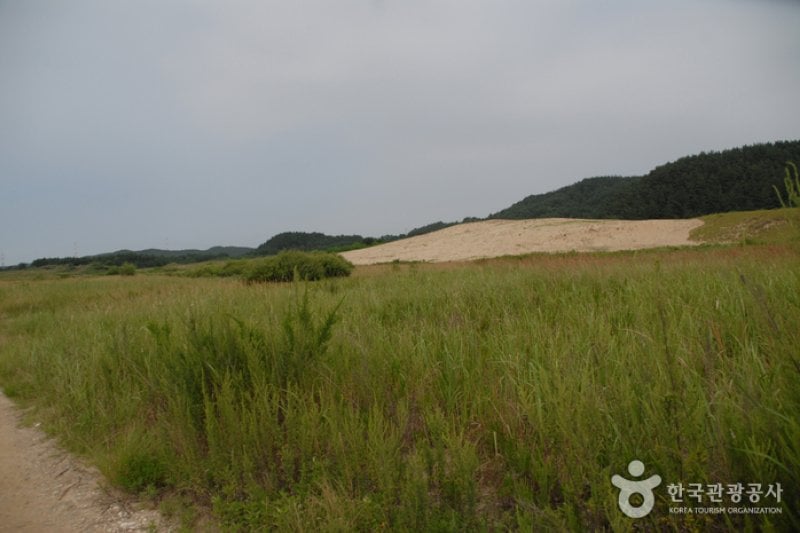 Sinduri Coastal Sand Dune  (2/13)