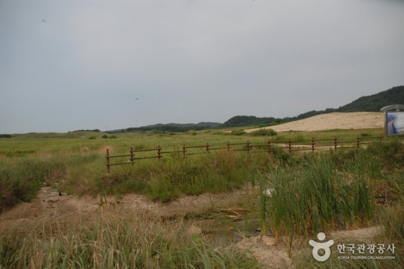 Sinduri Coastal Sand Dune  (3/13)