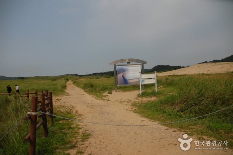 Sinduri Coastal Sand Dune  (4/13)