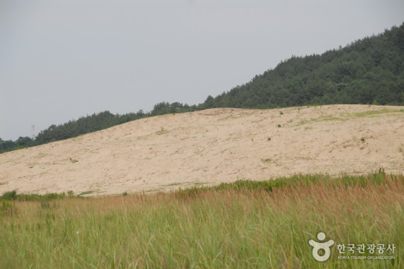 Sinduri Coastal Sand Dune  (5/13)