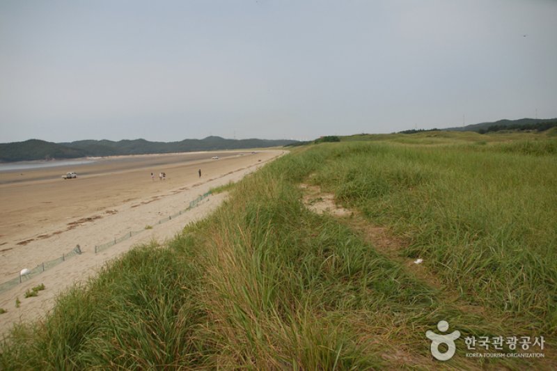 Sinduri Coastal Sand Dune  (7/13)