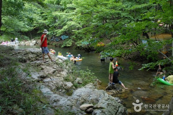 Nami Recreational Forest