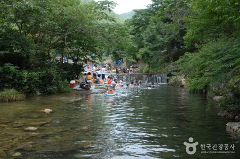 Nami Recreational Forest  (3/7)