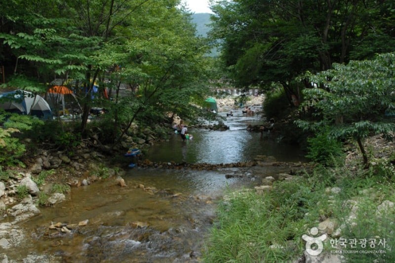 Nami Recreational Forest  (4/7)