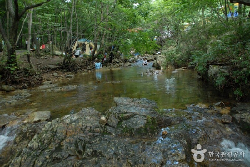 Nami Recreational Forest  (5/7)