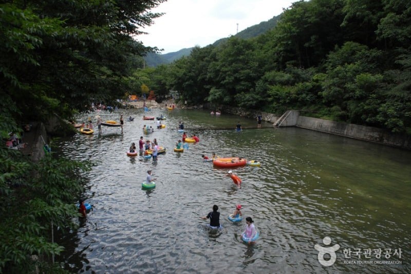 Nami Recreational Forest  (6/7)