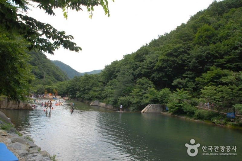 Nami Recreational Forest  (7/7)