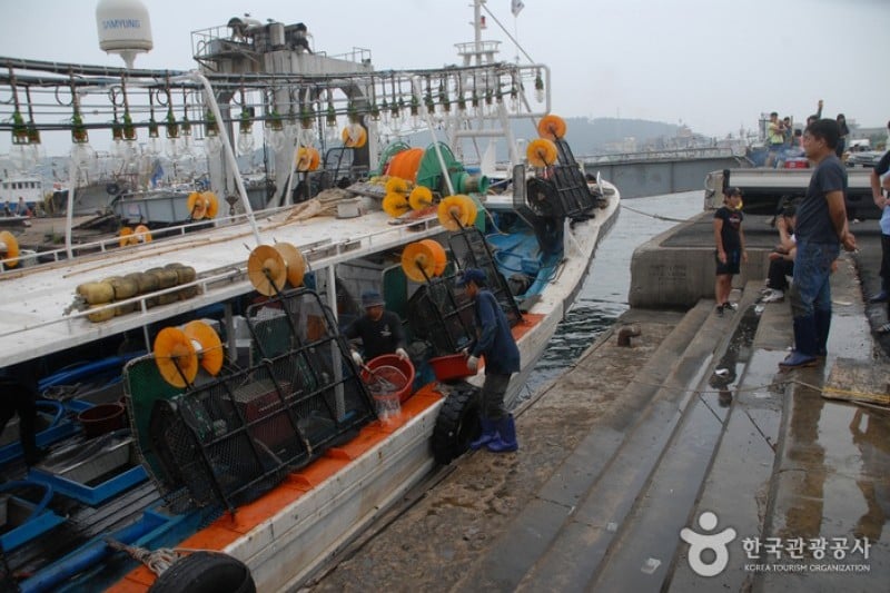 Sinjindo Island  (1/8)