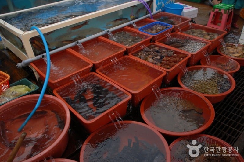 Sinjindo Island  (5/8)