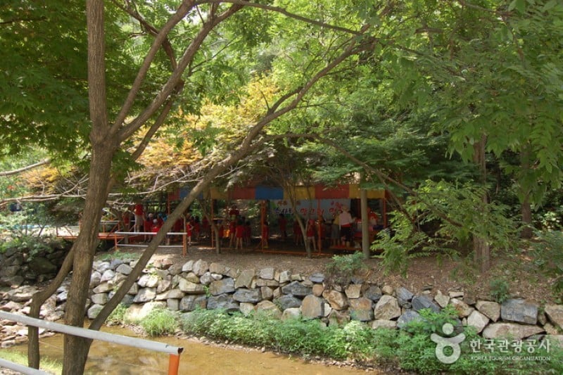 Daedunsan Recreation Forest  (11/25)