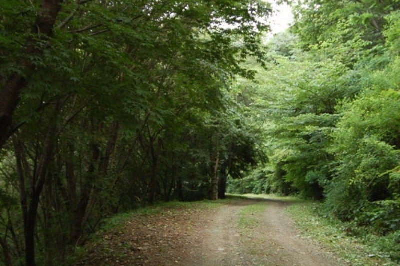 Daedunsan Recreation Forest  (14/25)