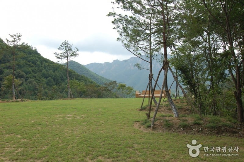 Daedunsan Recreation Forest  (15/25)