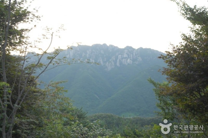 Daedunsan Recreation Forest  (20/25)