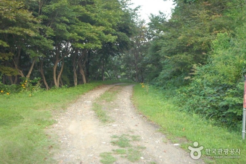 Daedunsan Recreation Forest  (21/25)