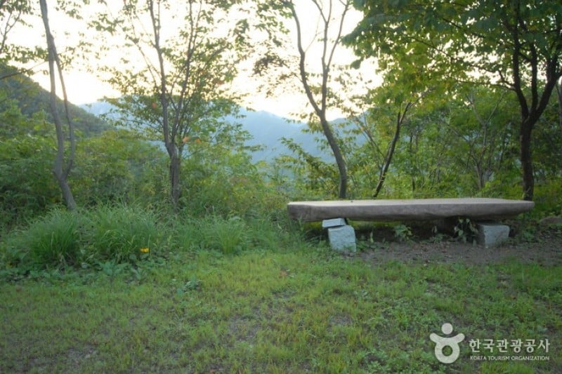 Daedunsan Recreation Forest  (22/25)