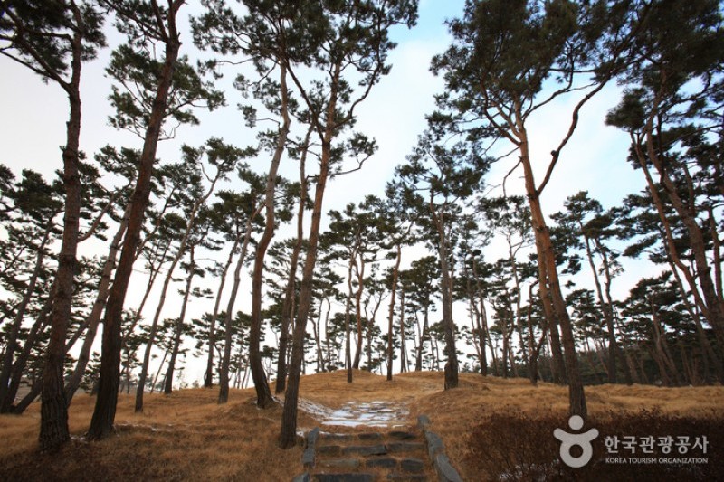 Historic Site of General Gyebaek  (8/38)