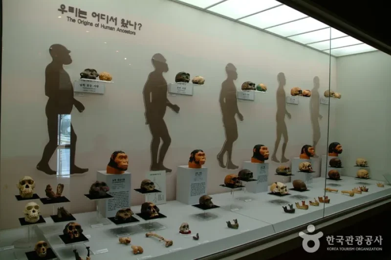 Archaeological Site in Seokjang-ri, Gongju  (9/22)