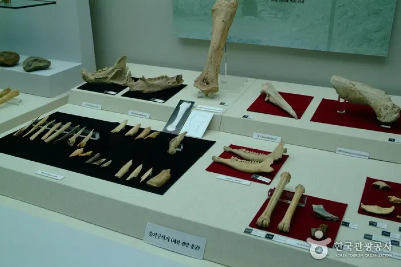 Archaeological Site in Seokjang-ri, Gongju  (17/22)