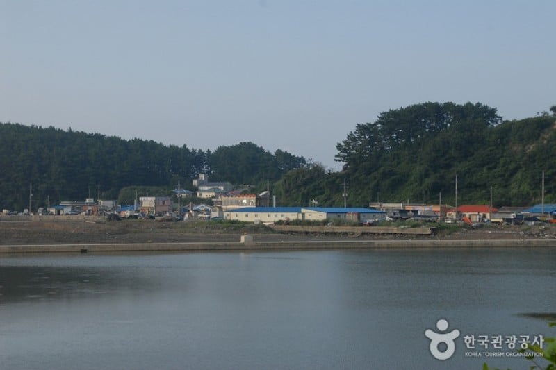 Seocheon Maryang Port  (3/13)