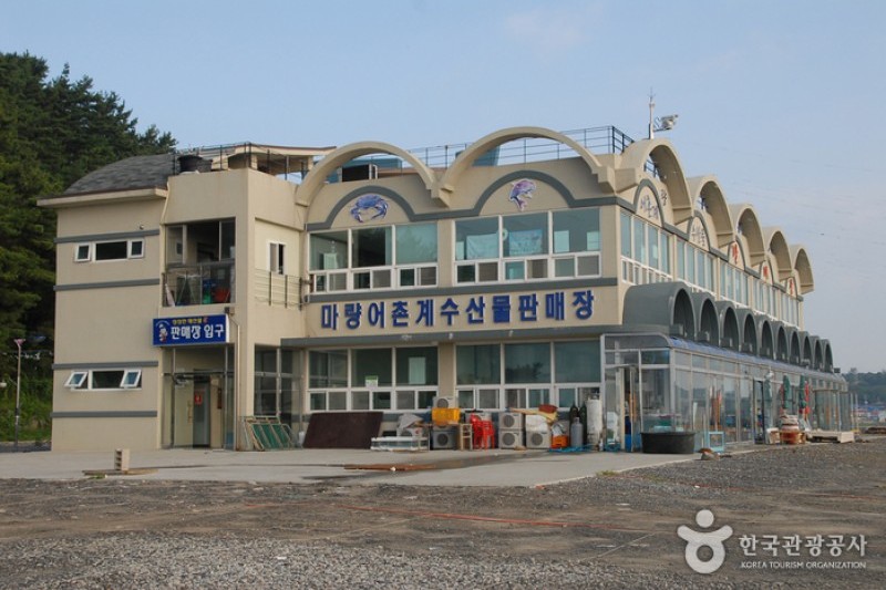 Seocheon Maryang Port  (6/13)