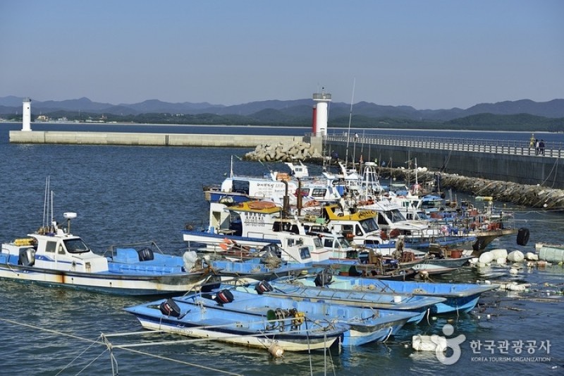 Seocheon Maryang Port  (8/13)