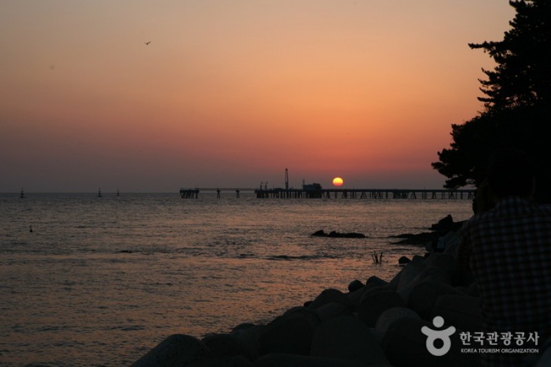 Seocheon Maryang Port  (13/13)