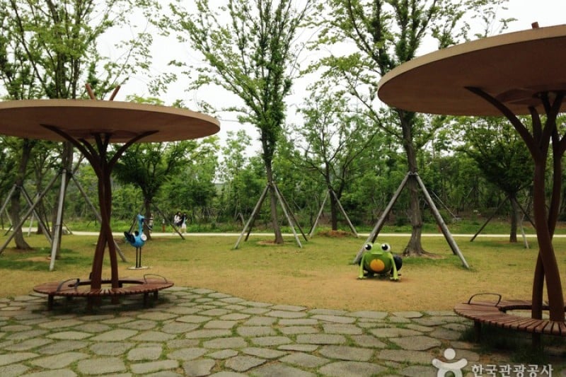 National Institute of Ecology  (3/12)