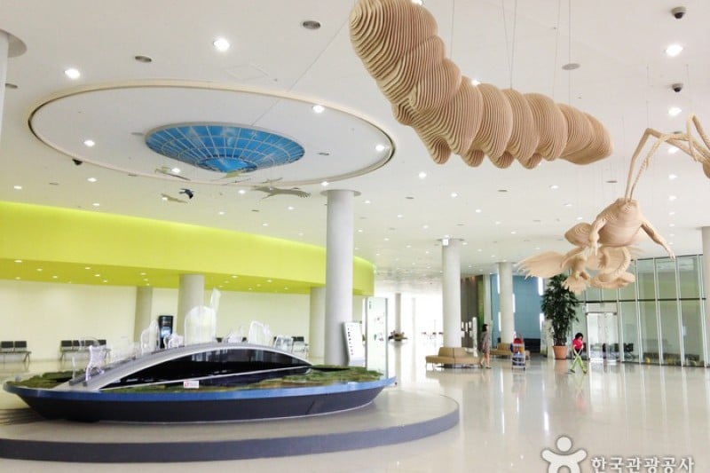 National Institute of Ecology  (6/12)