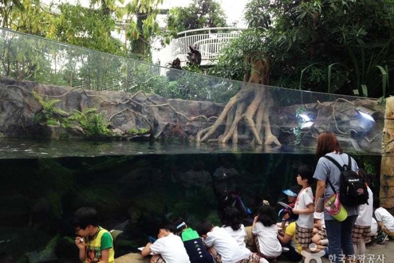 National Institute of Ecology  (8/12)