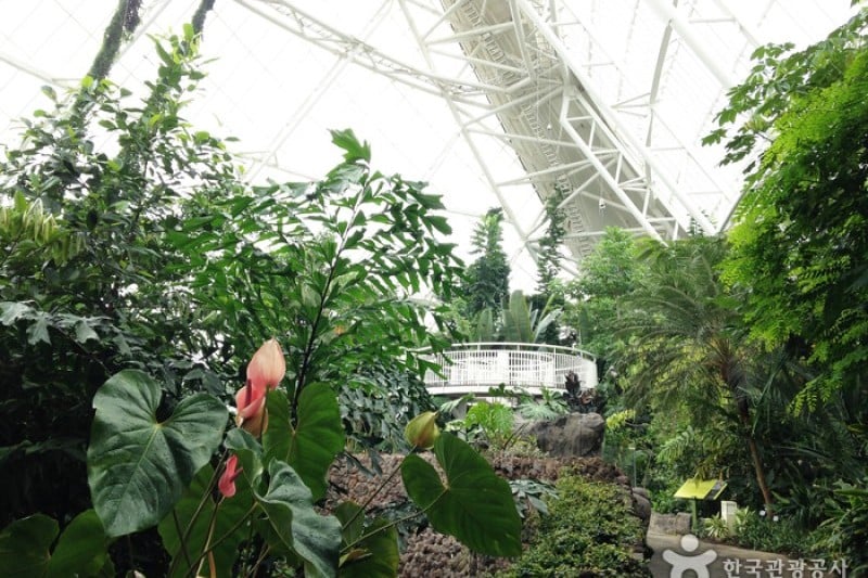National Institute of Ecology  (9/12)