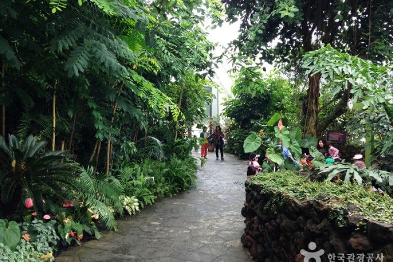 National Institute of Ecology  (11/12)