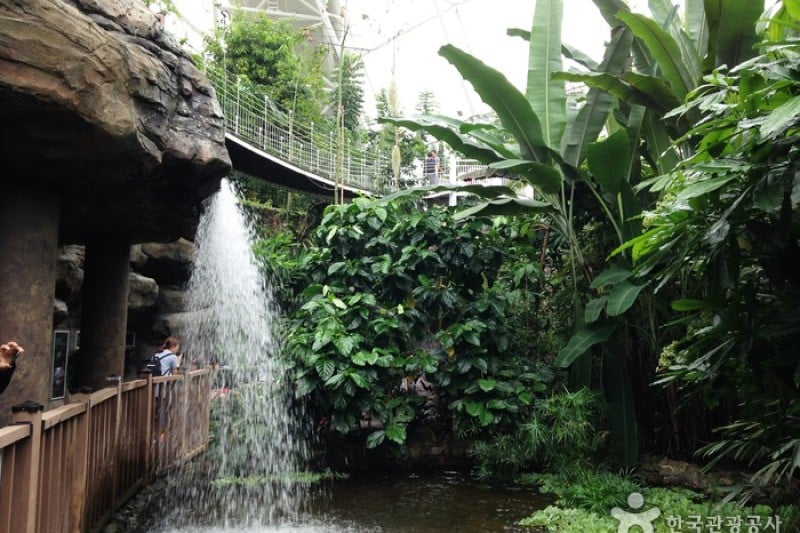 National Institute of Ecology  (12/12)