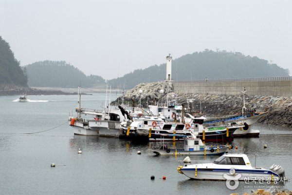 Taean Mohang Port Marine Product Festival