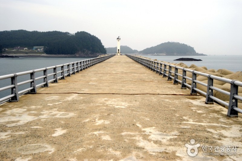 Taean Mohang Port Marine Product Festival  (1/1)